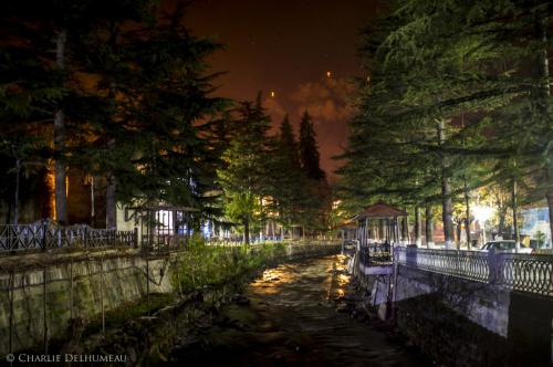 borjomiNationalParkGeorgia-1-9